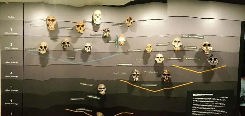 Natural History Museum, photo 3 of 6