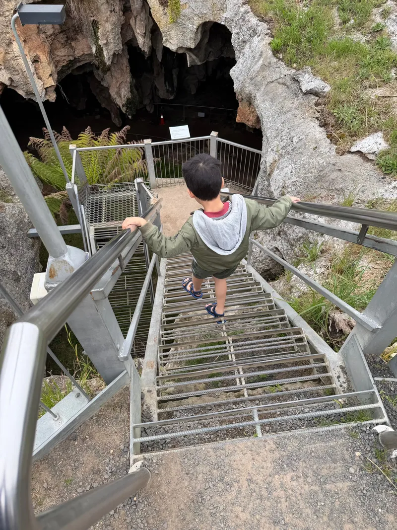 Ethan heading down the metal stairs into a cave entrance