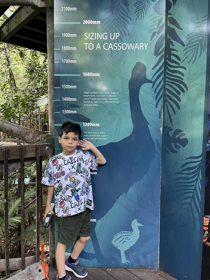 A boy standing against the "Sizing up to a cassowary" height chart