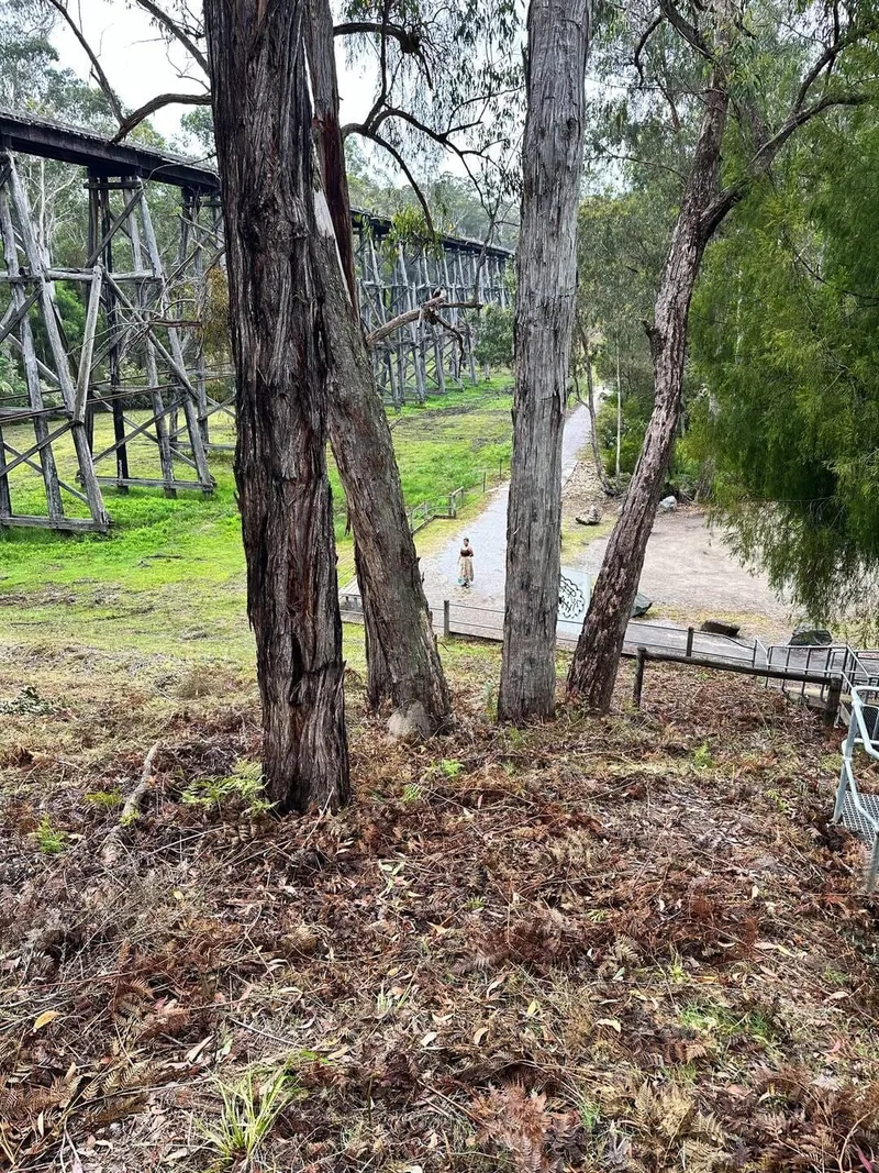 Stony Creek Trestle Bridge, photo 3 of 5