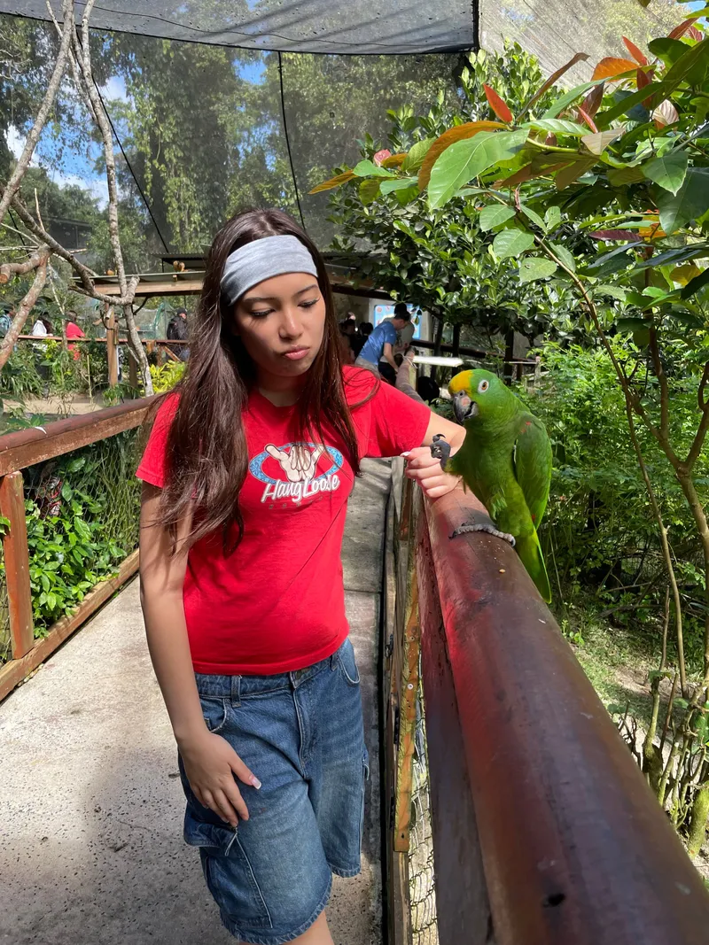 A girl walking along the railing past a green parrot