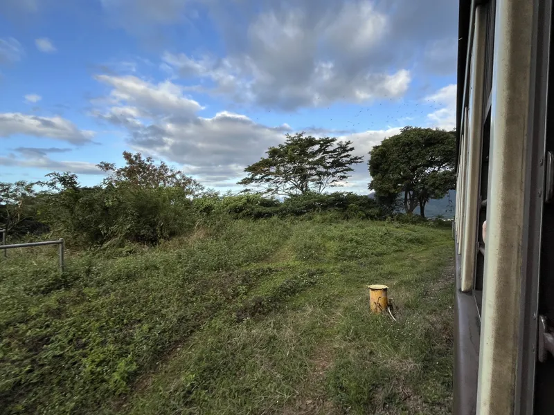 Grassy slope beside the train as it nears the bottom