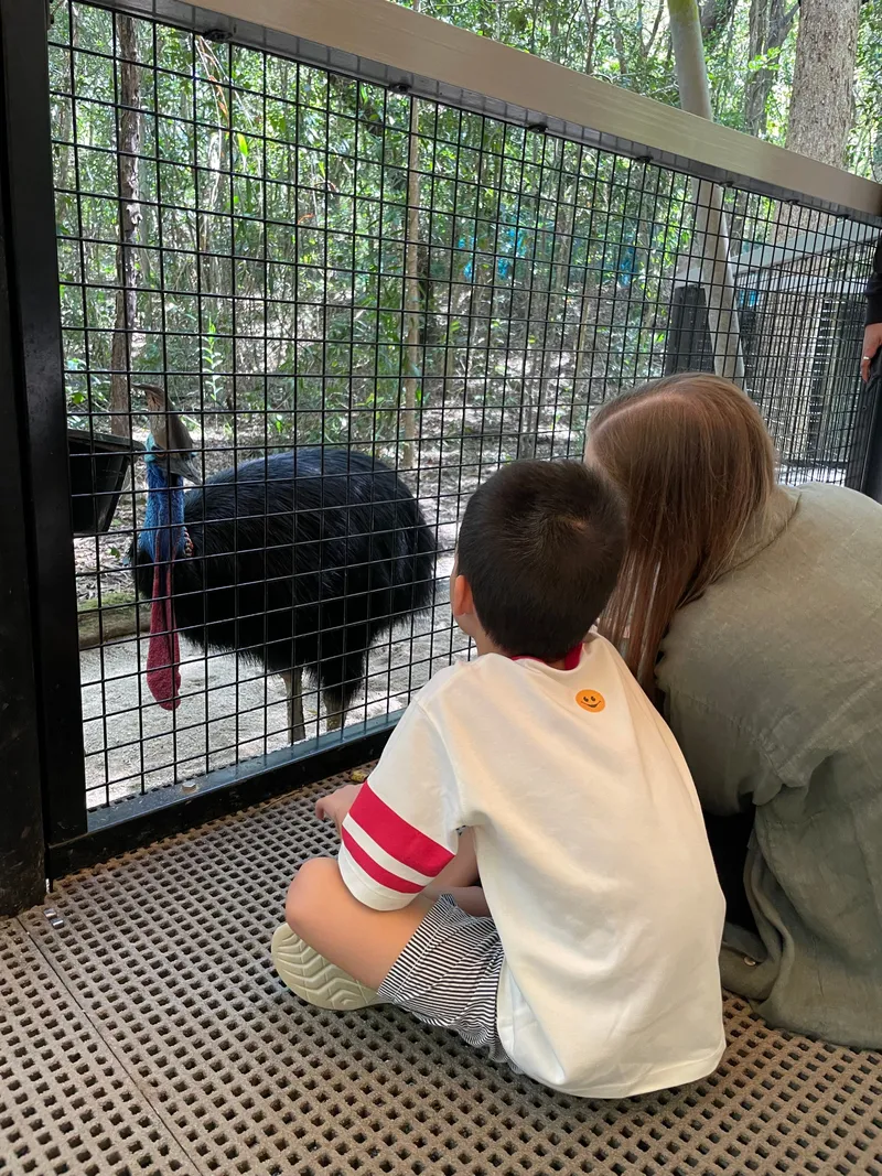 A boy and a woman watching a cassowary through the fence