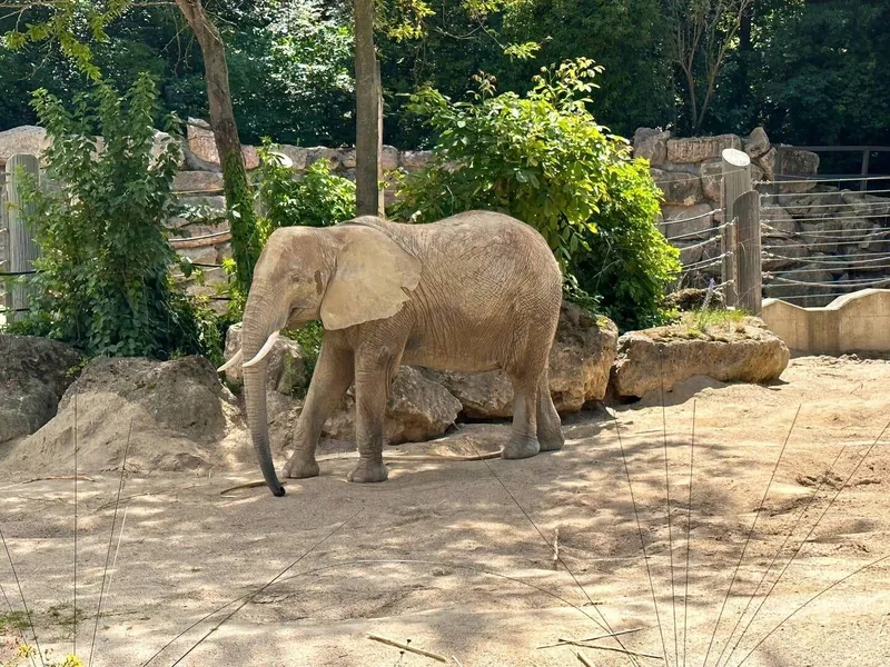 A day at the Vienna Zoo, photo 5 of 7