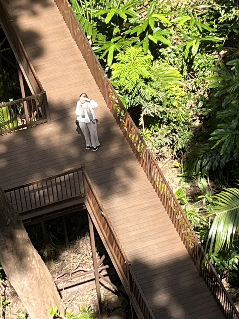 A person on the boardwalk looking up at the tower