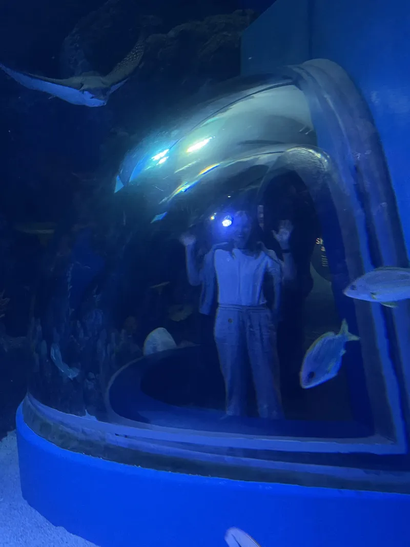 A woman inside a viewing bubble in the big tank, with a ray overhead