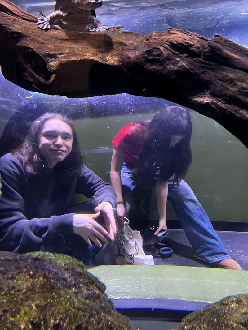 Two teenagers crouching inside a viewing bubble under a log
