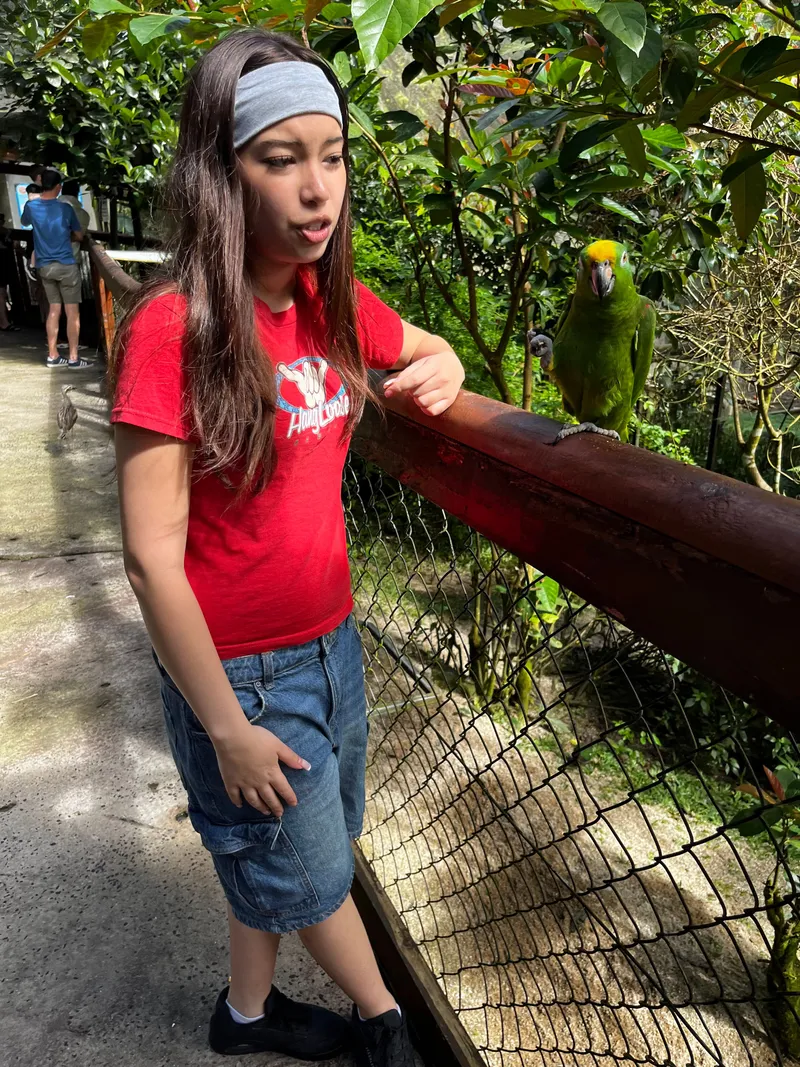 The girl at the railing next to a yellow-crowned parrot