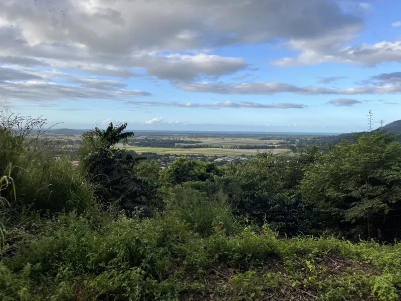 Bush and grass sloping down toward Cairns