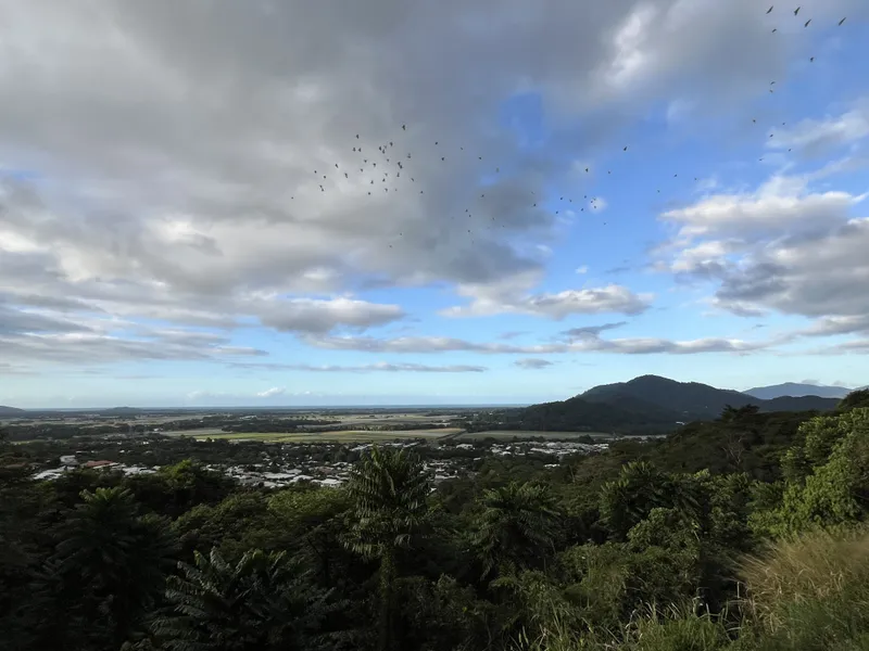 Birds flying over the plain, with Cairns below