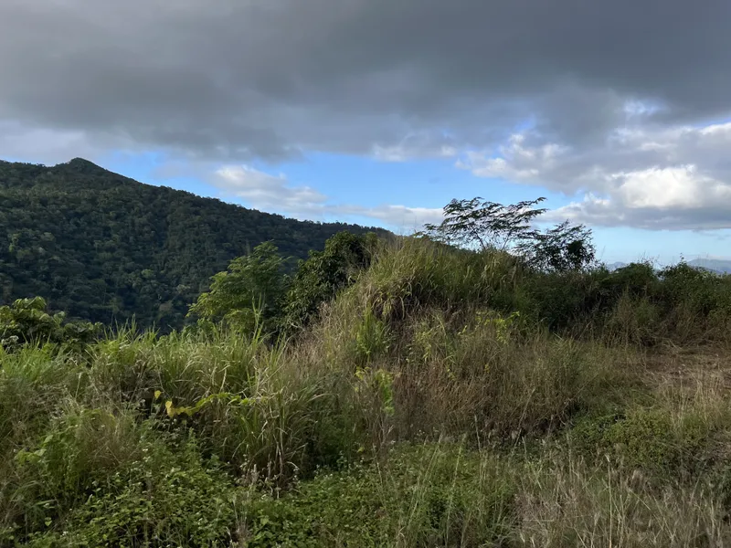 The peak and the grassland from the moving train