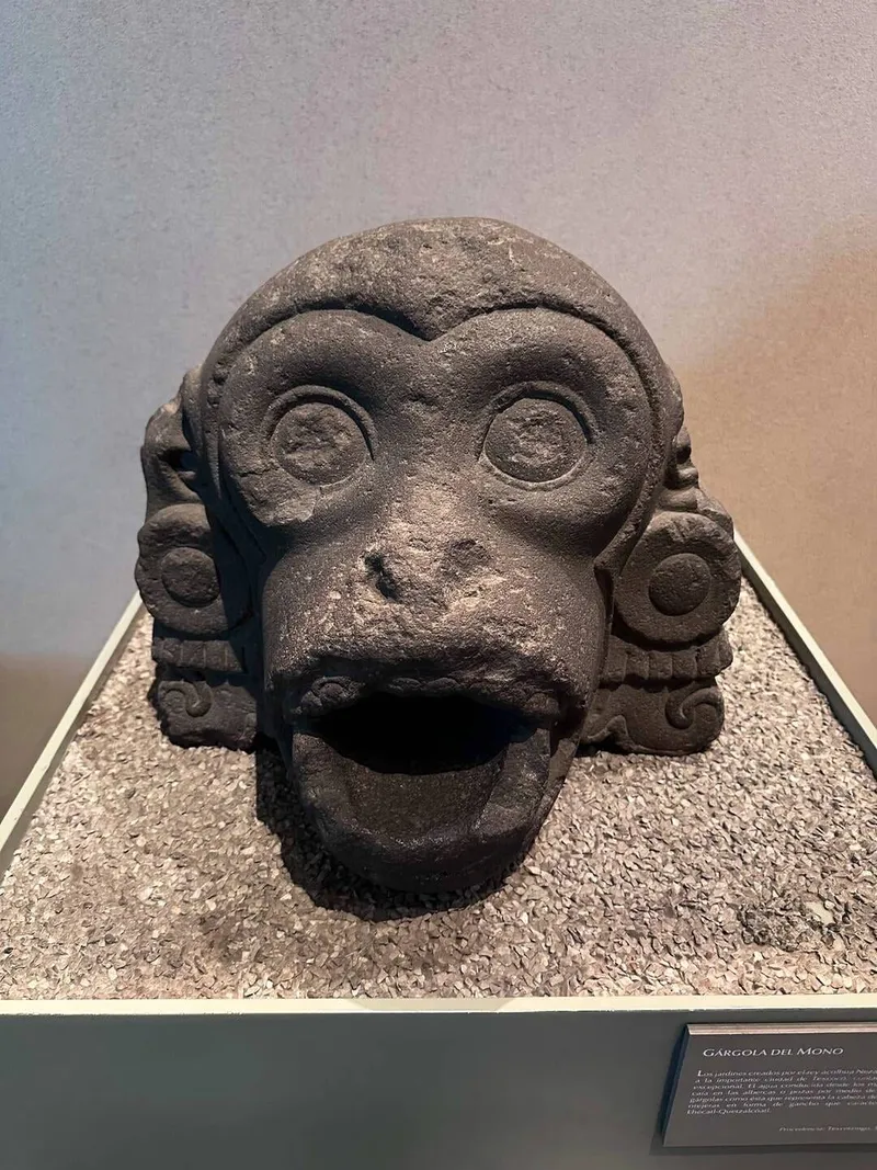 Museum of anthropology, photo 4 of 10