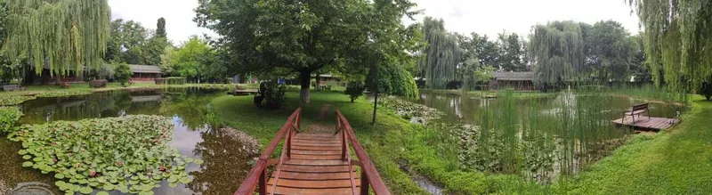 Thrive Camp, photo 7 of 7