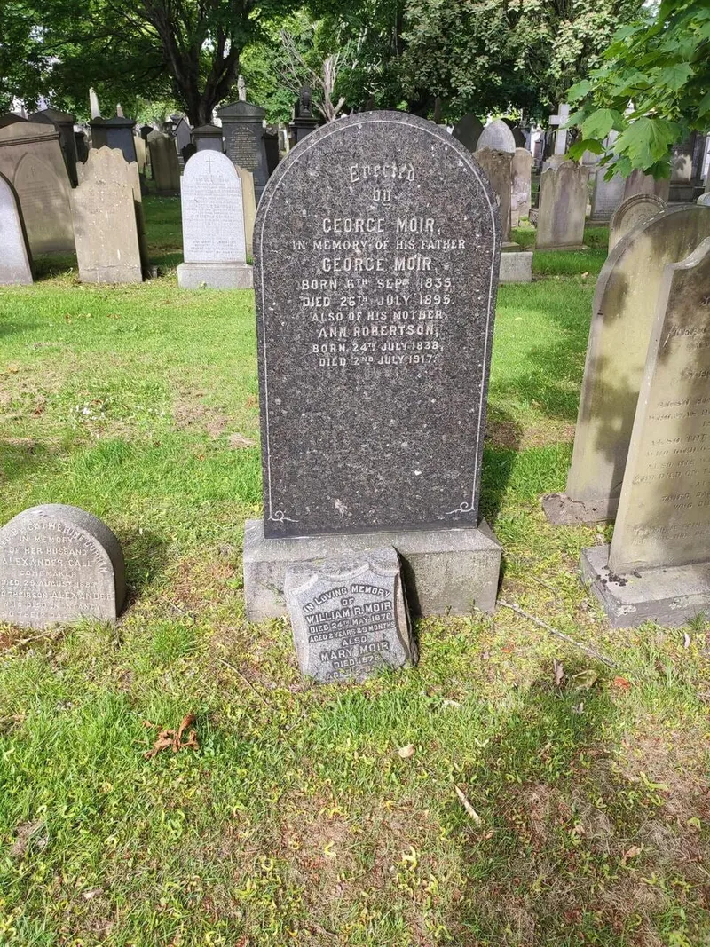 Ancestry walk, photo 3 of 8