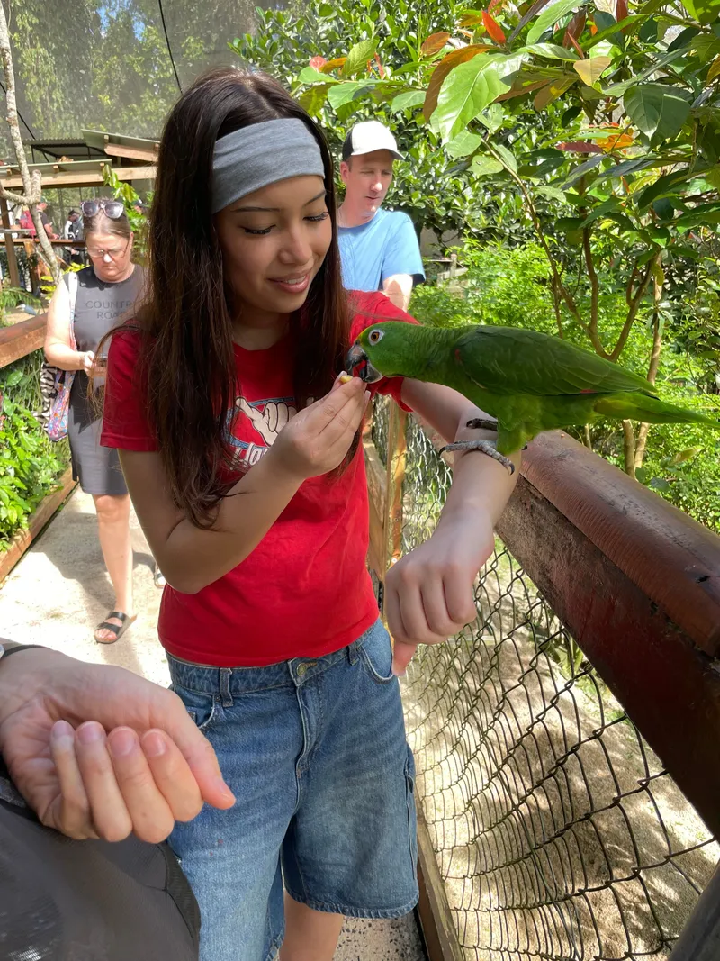 A green parrot feeding from the girl's hand