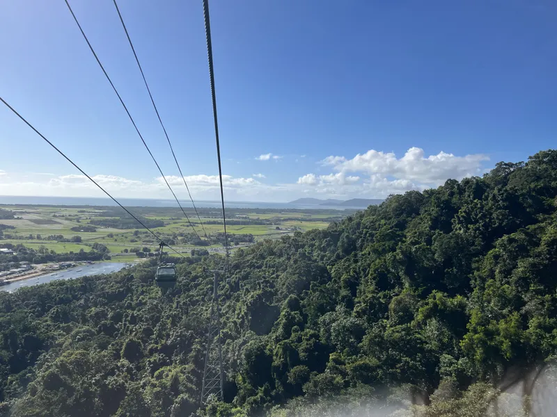The cables stretching away over the forested range