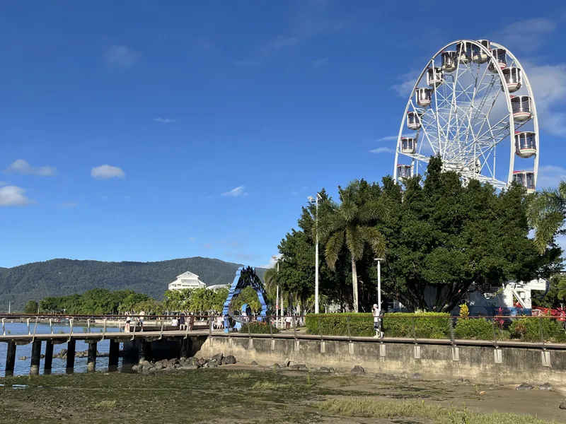 The Cairns ferris wheel and palms above the esplanade at low tide