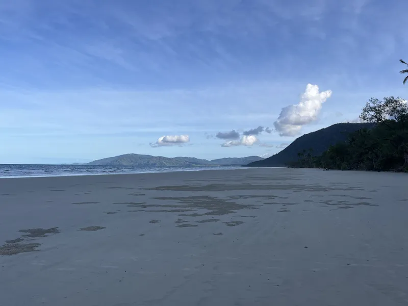 The empty beach running out to the forested headland