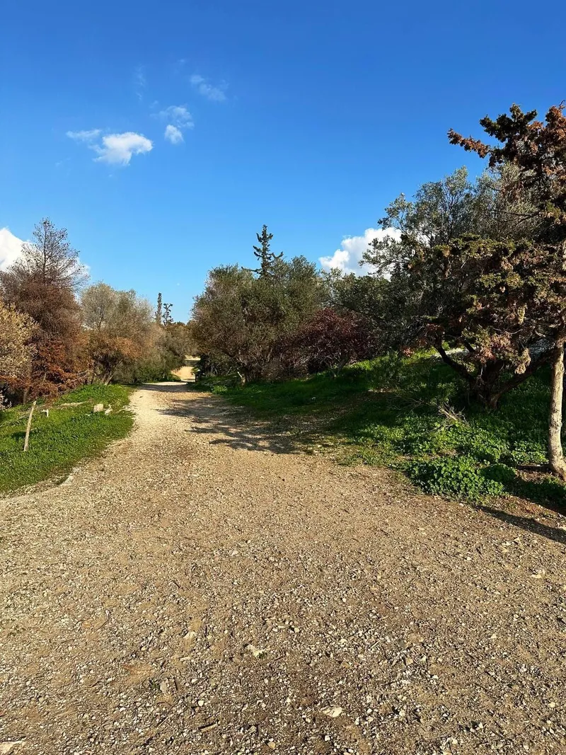 Filopappou Hill, photo 2 of 8