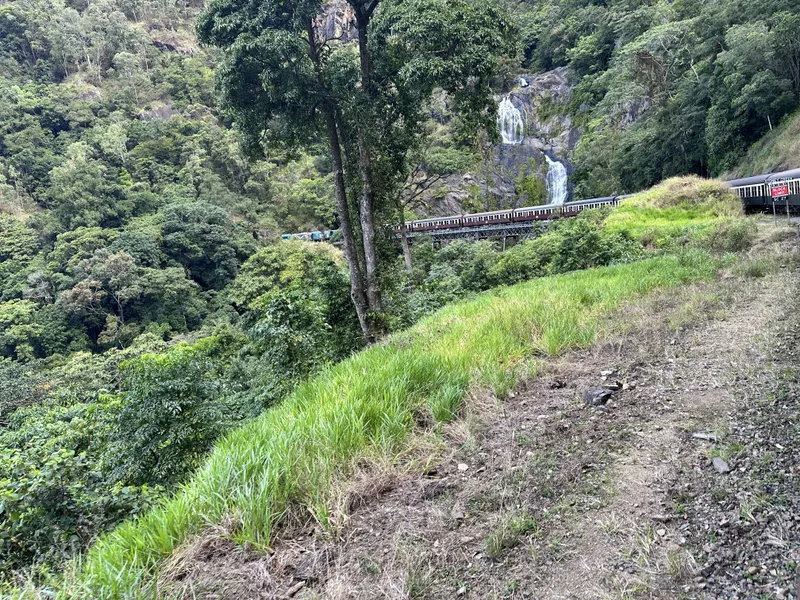 The bridge and Stoney Creek Falls from the train