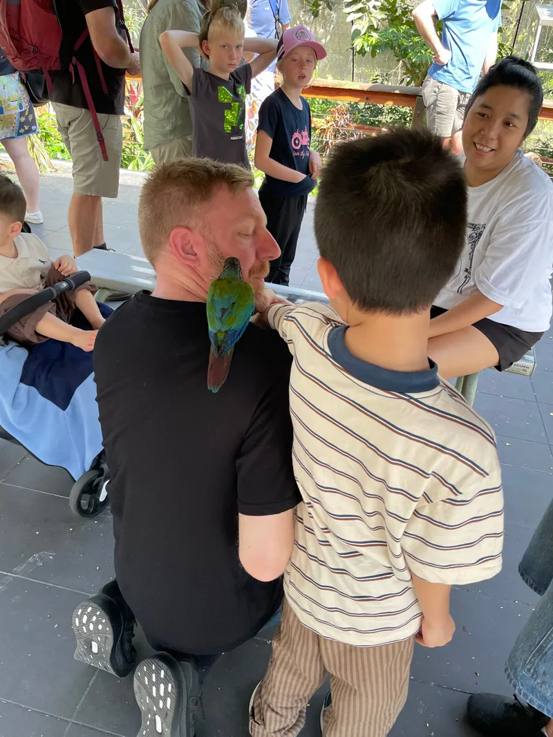 A boy reaching toward the parrot on a crouching man's shoulder