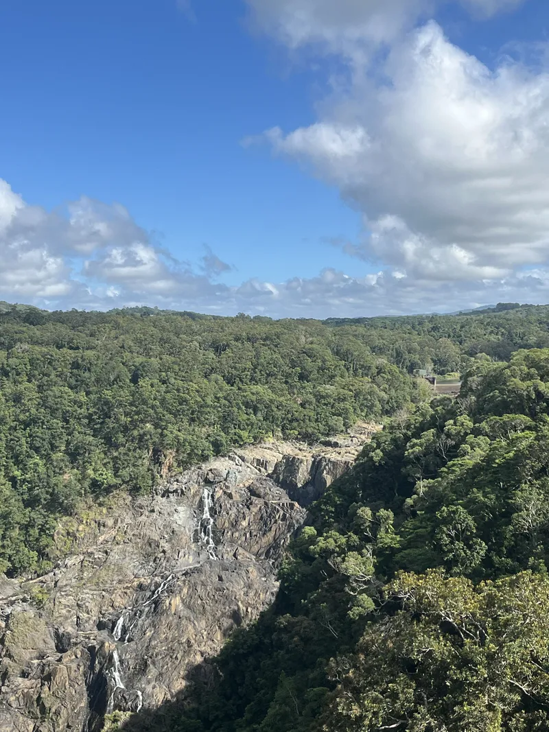 The rock face of Barron Falls, with the forest above
