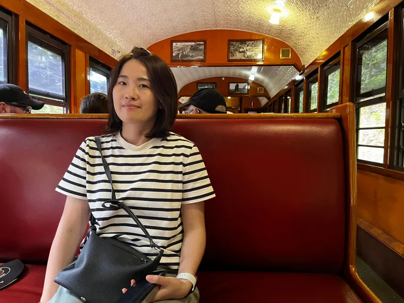 A woman sitting in the red-seated carriage