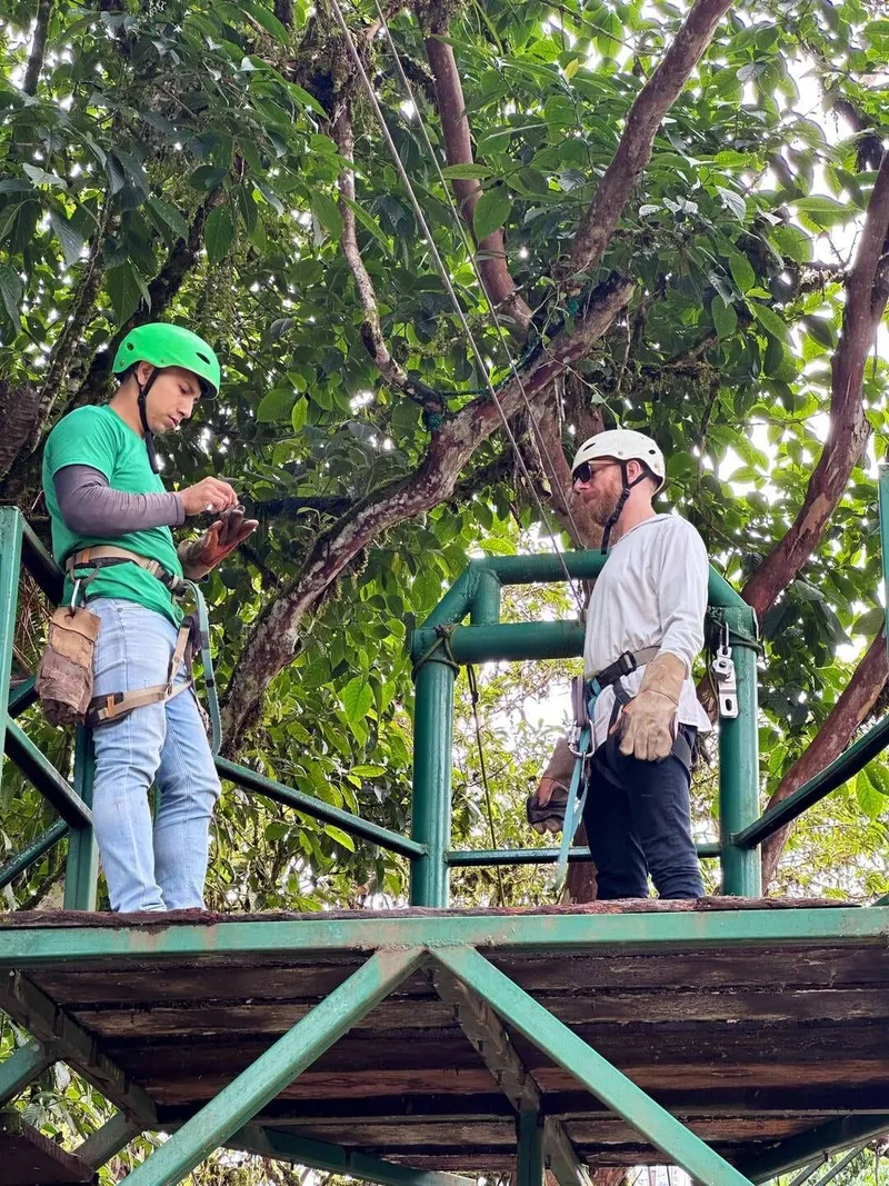Ziplining above the canopy, photo 3 of 3