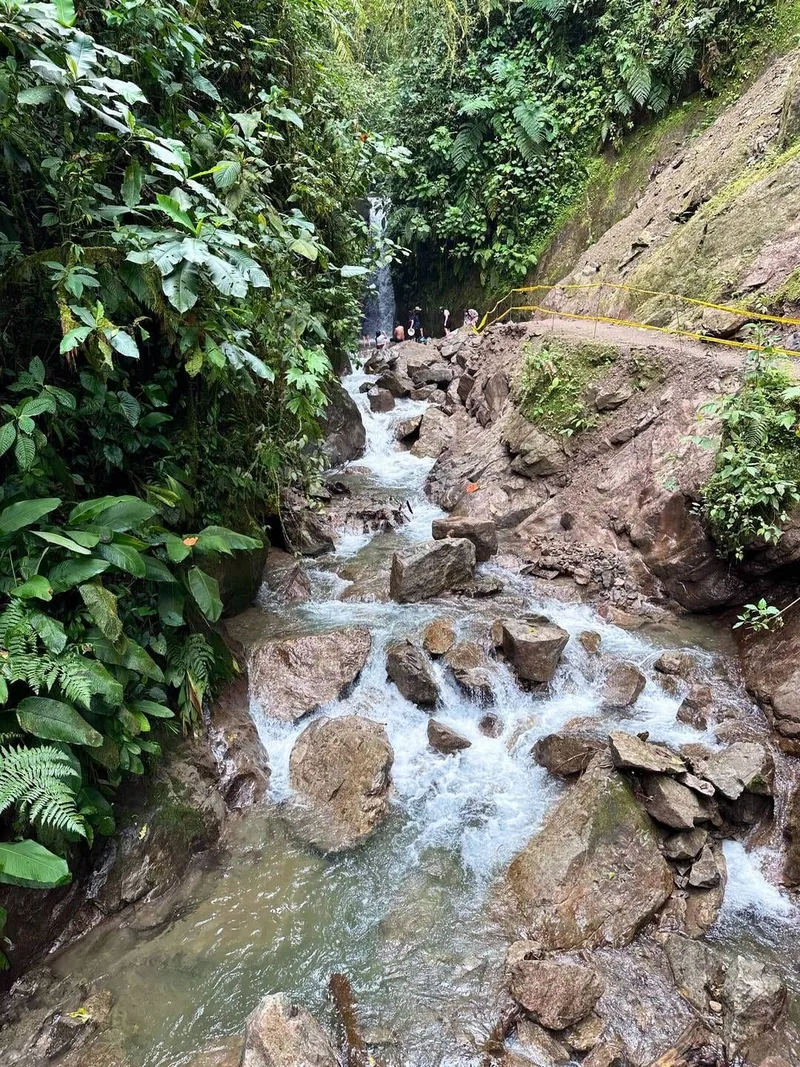 Trekking in Mindo rainforest, photo 4 of 6