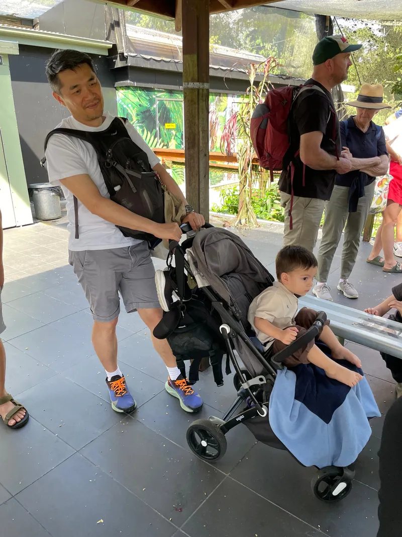 A man pushing a toddler in a stroller through the aviary