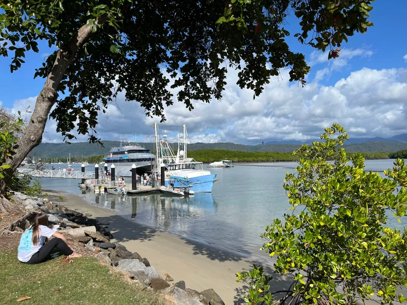 Boats moored at the marina under the trees