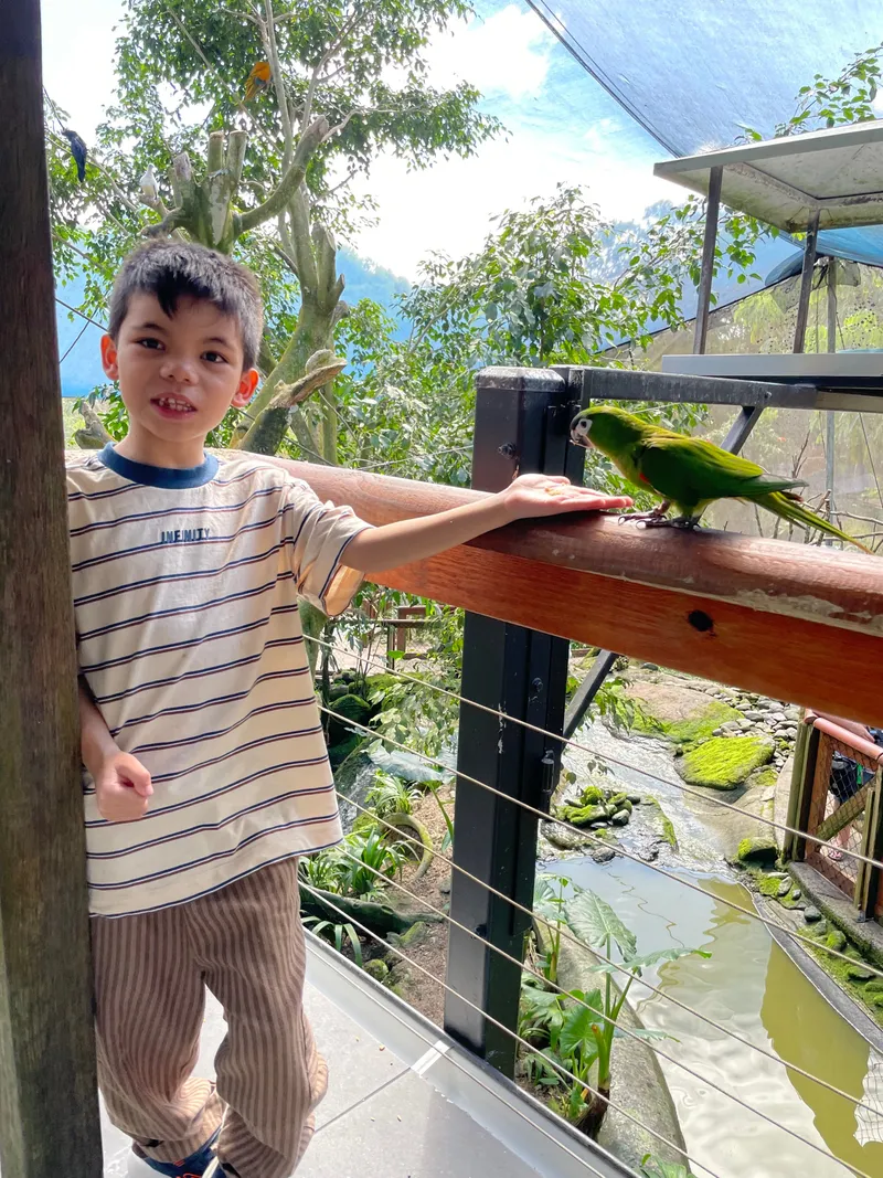 The boy smiling beside the parrot on the rail
