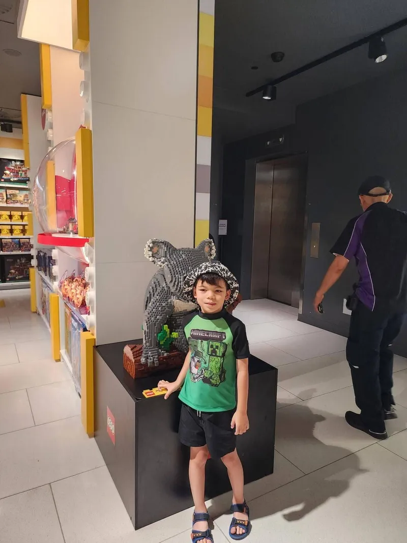 LEGO store joy, courtesy of Jaxon, photo 8 of 9