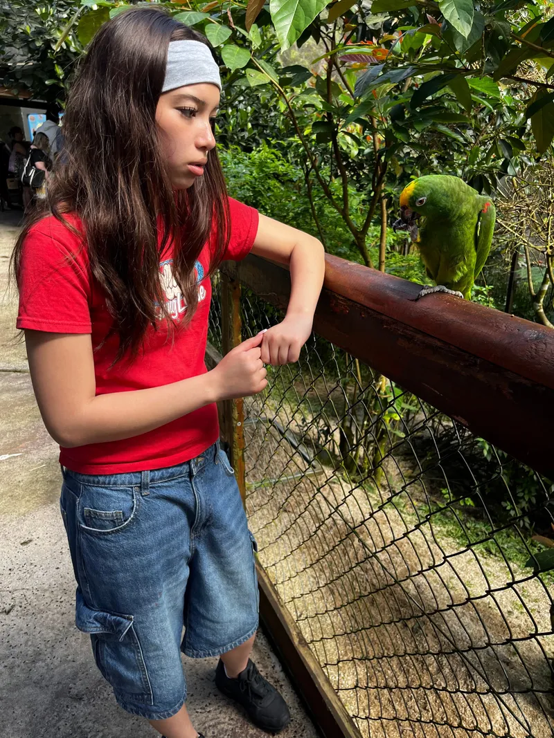 The girl watching the parrot on the rail