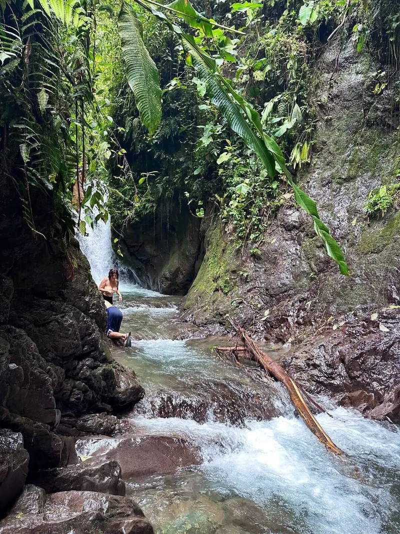 Trekking in Mindo rainforest, photo 6 of 6