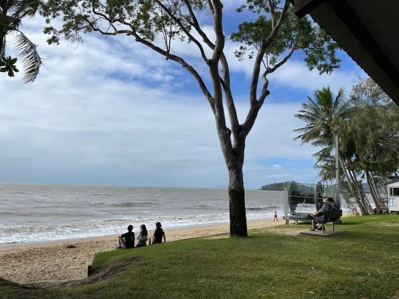 Three people sitting on the grass looking out to sea under a big tree