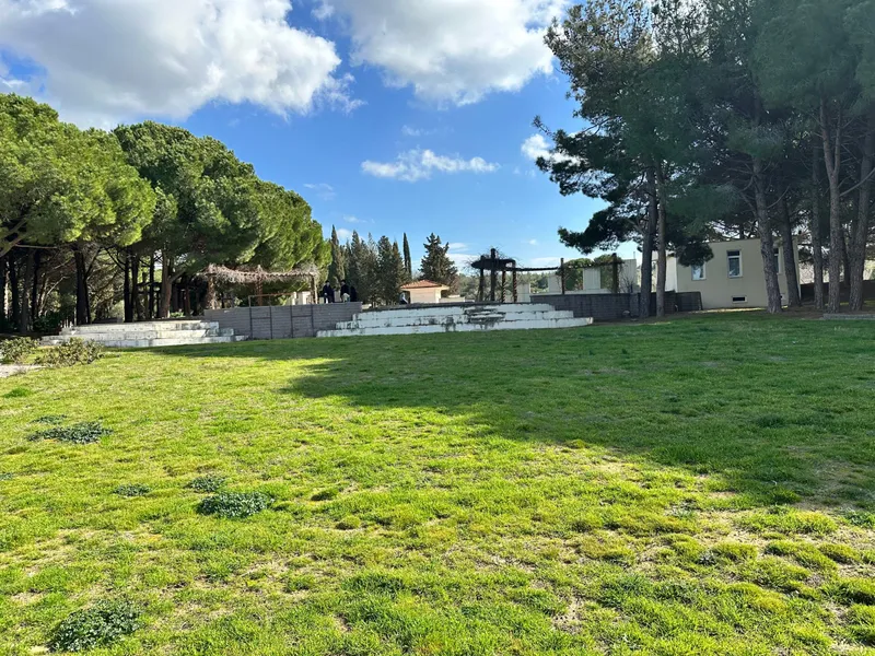 A grassy cemetery among pine trees at Gallipoli