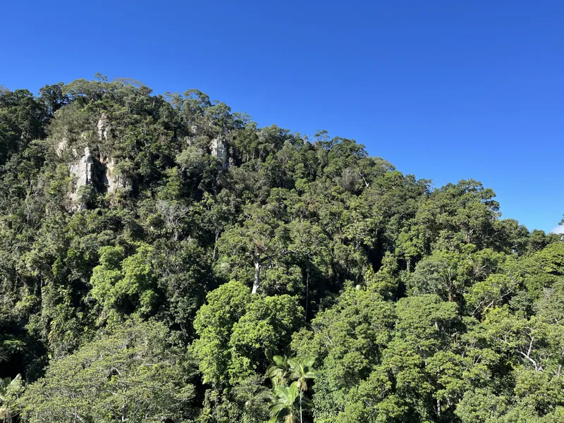 A rocky forested peak under a blue sky