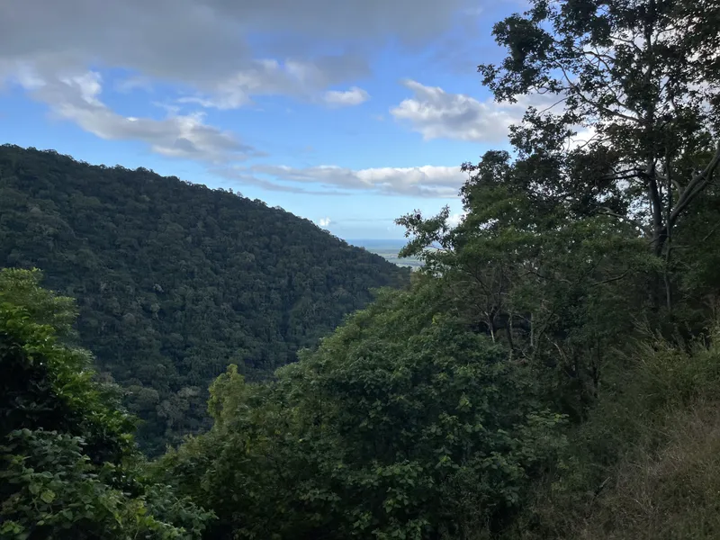Forested ranges falling away to the coast