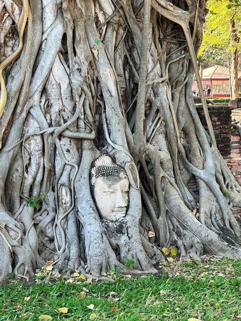 Ayutthaya Tour, photo 2 of 8