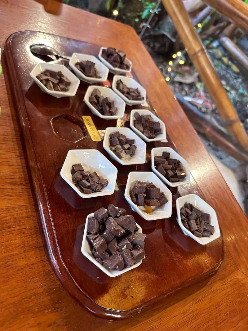 Chocolate tour, tasting and mask, photo 1 of 4