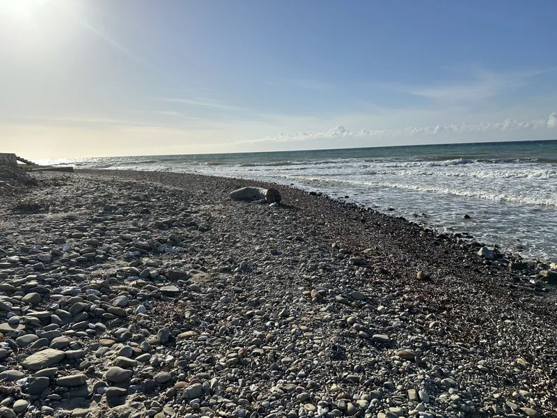 The pebbly beach at Anzac Cove with waves coming in