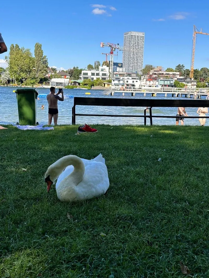 Bundesbald Alte donau, photo 3 of 3