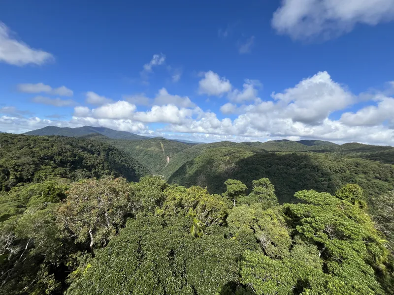 Rainforest ridges under a blue sky