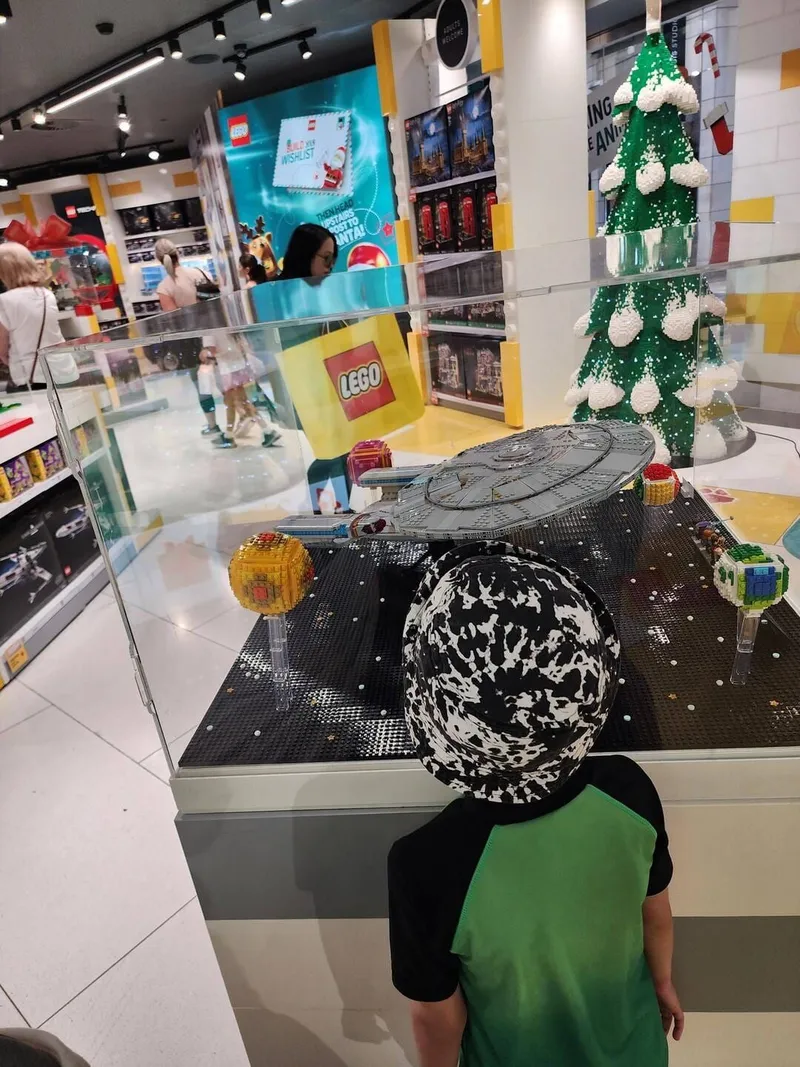 LEGO store joy, courtesy of Jaxon, photo 6 of 9