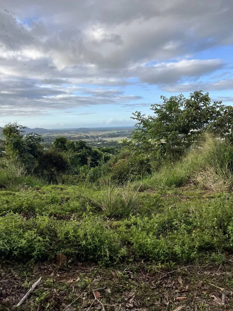 The view down to the coastal plain