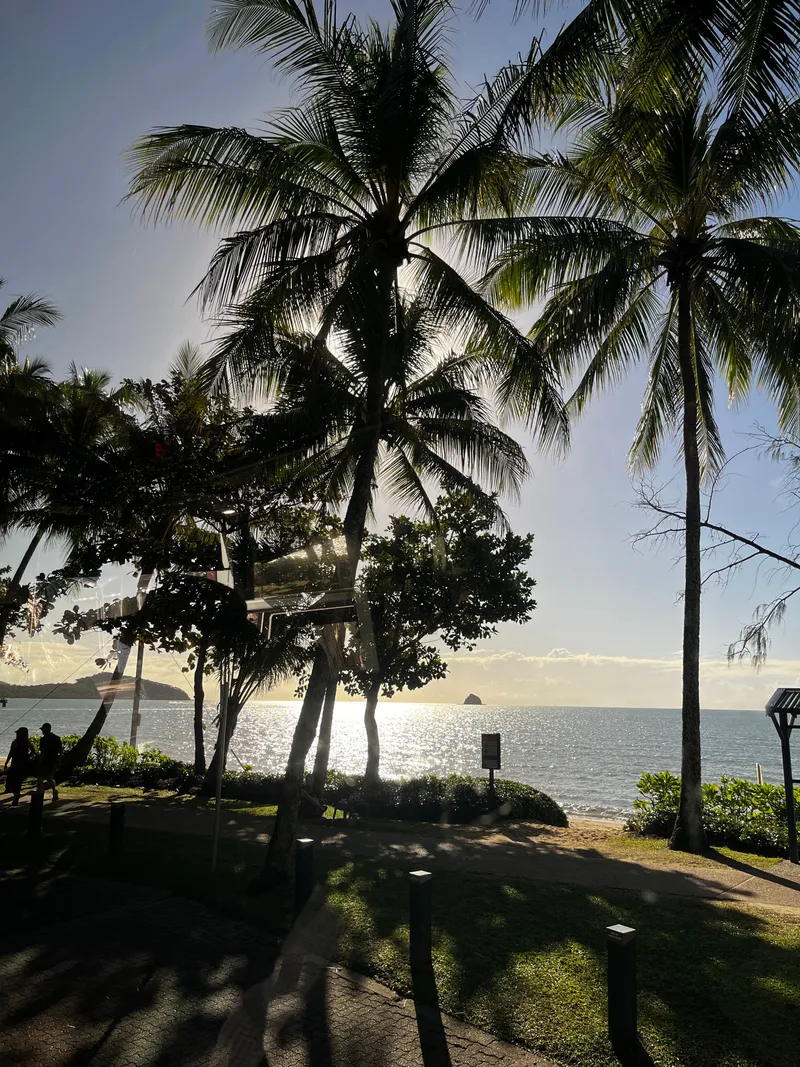 Palm trees silhouetted against the morning sun over the sea, with the islands offshore