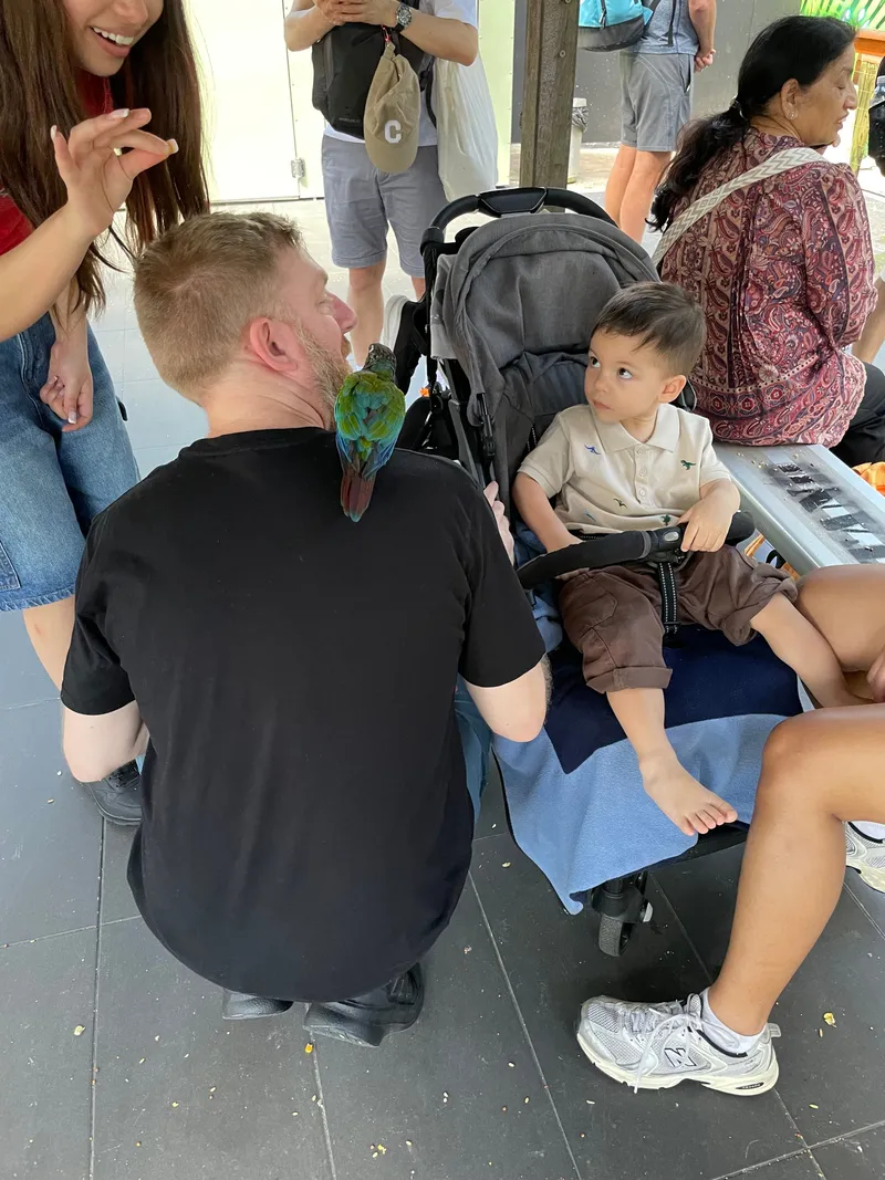 A man crouching beside a toddler in a stroller, a parrot on his shoulder