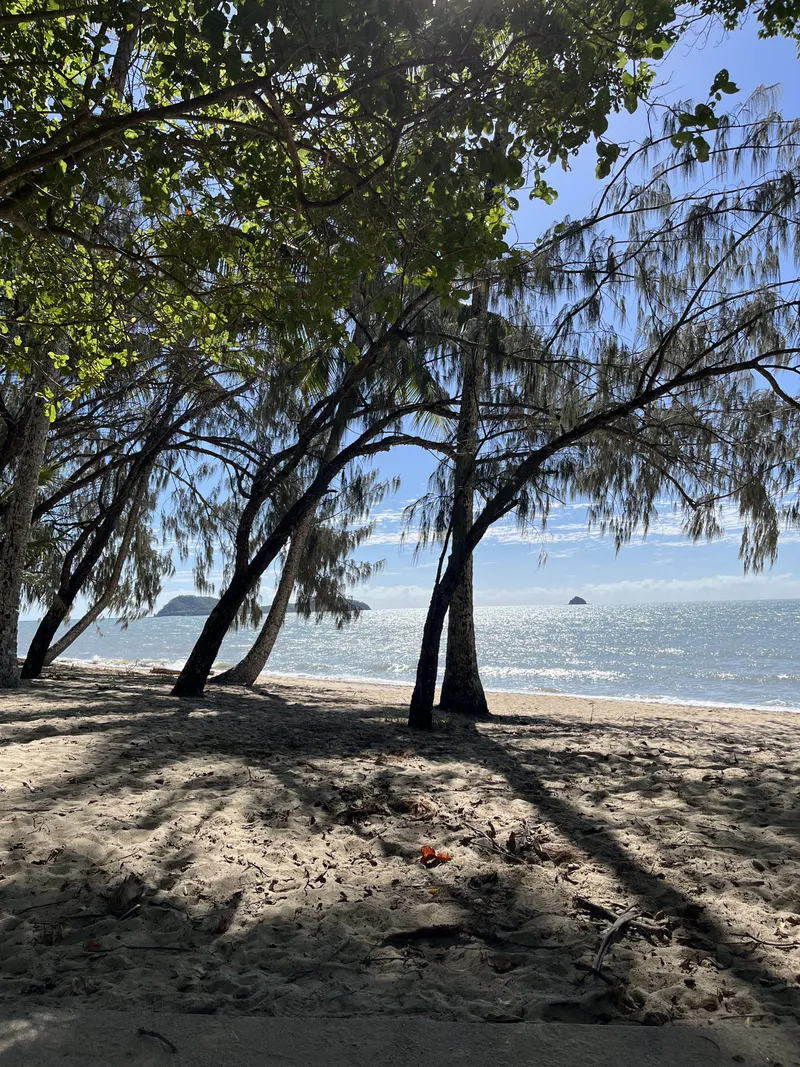 The beach in the shade of the trees, with islands offshore