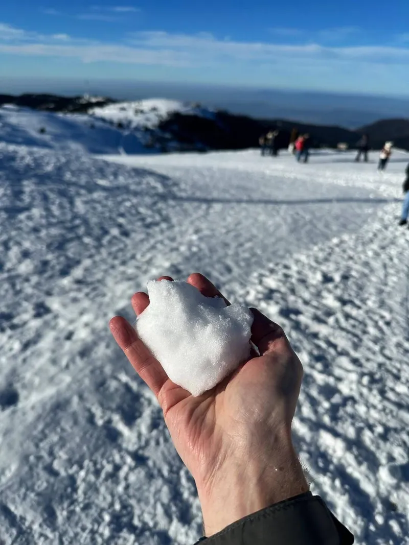 Surprising trip to the snow, photo 7 of 8